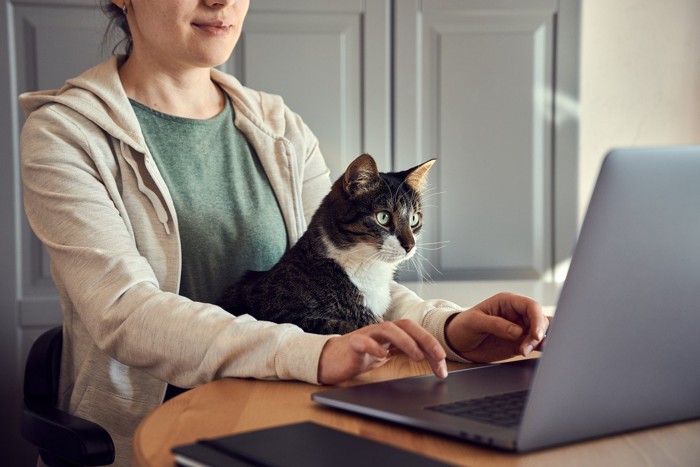 猫と女性