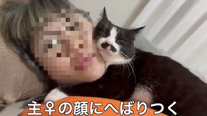 ベッドで寝ている飼い主と猫