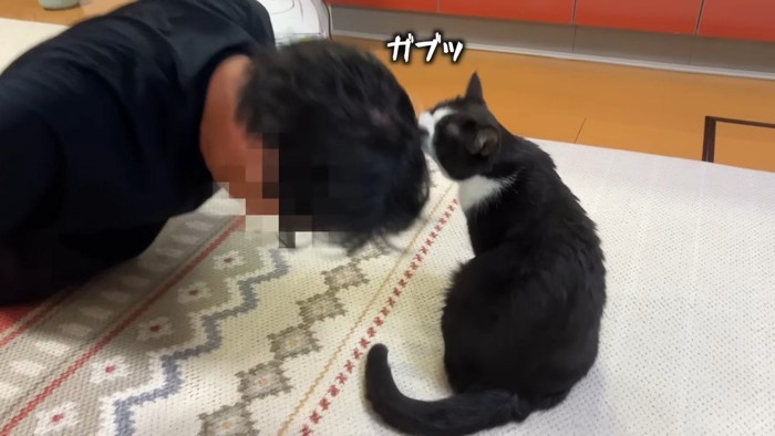 ガブッ