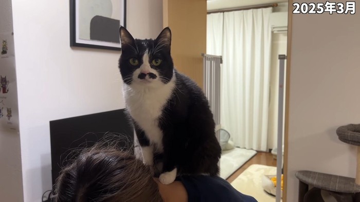首の後ろでお座り