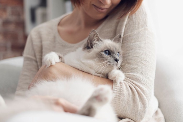 猫を抱く女性