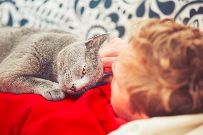 寝ている飼い主の胸に顔をつけて甘える猫