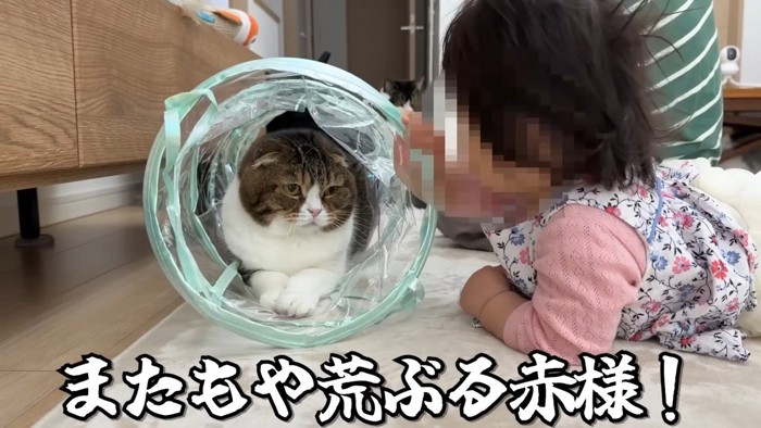 またもや荒ぶる赤様！