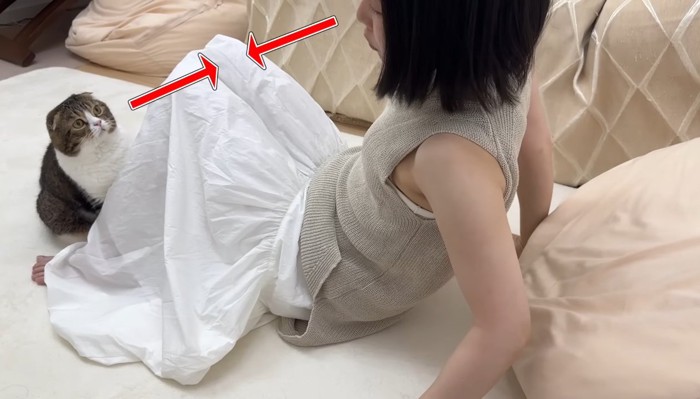 目が合って