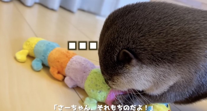 飼い主さんに忠告を受けたさくらちゃん