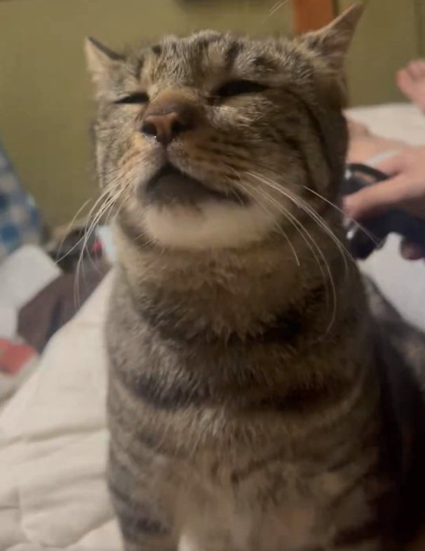 背中に当ててもらう凛太郎くん