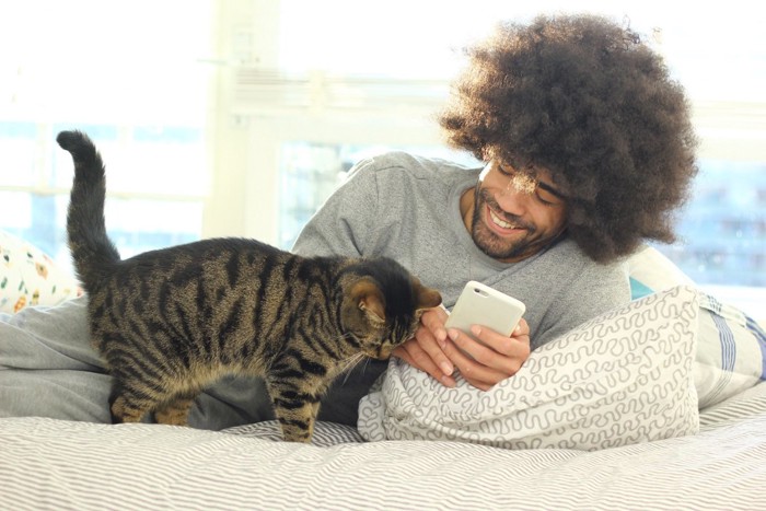 猫とアフロヘアの男性