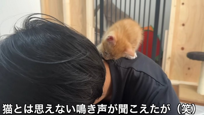 猫とは思えない泣き声が聞こえたが(笑)～