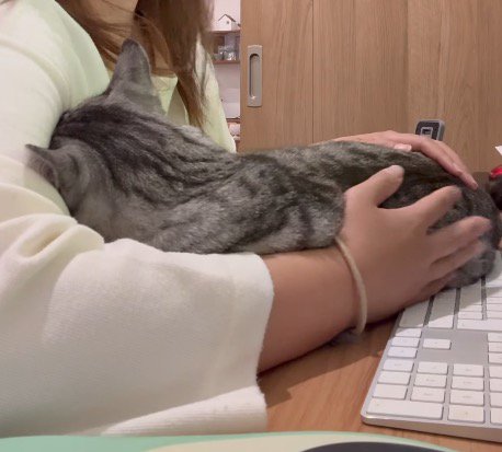猫を撫でる女性の手