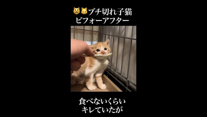 スプーンを目の前に