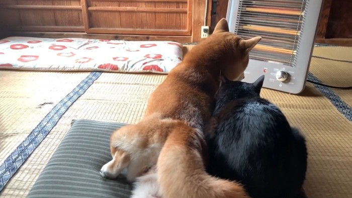 寄り添うふたりの後ろ姿
