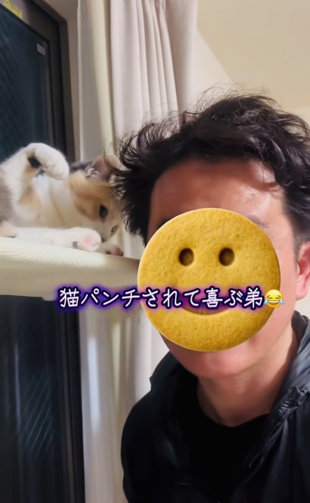 弟に向かって手を振り上げる三毛猫