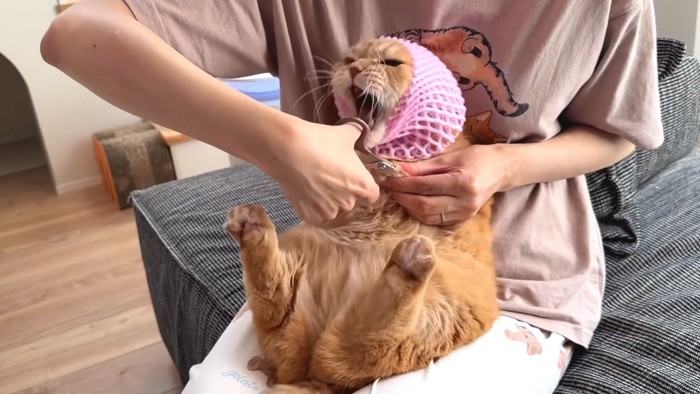 怒った姿