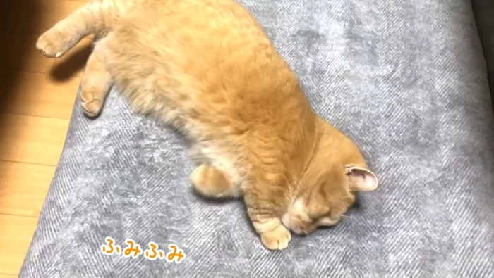 ふみふみ