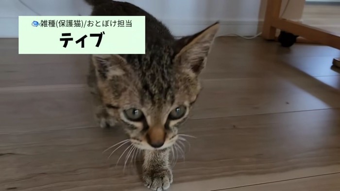 ティブくん