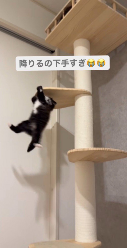 落ちそうになってる子猫