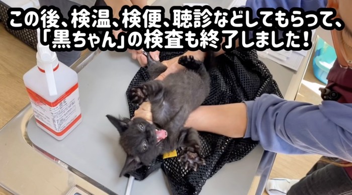 黒ちゃんも診察終了