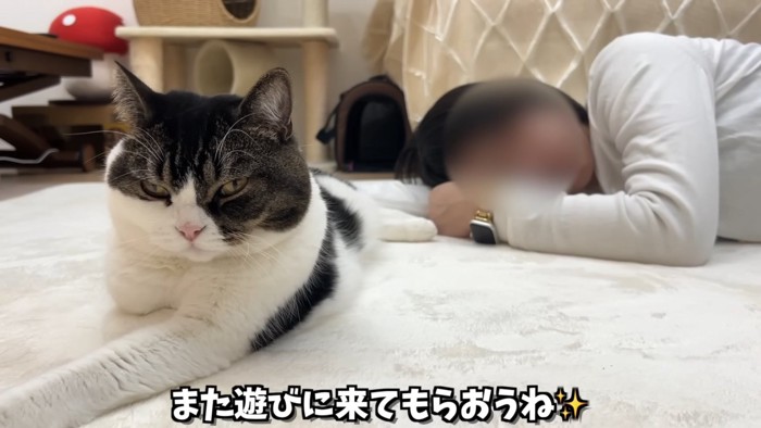 寝ている人とそばにいる猫