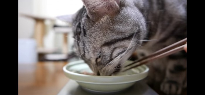 食べる