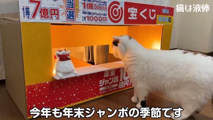 宝くじ売り場をのぞく猫