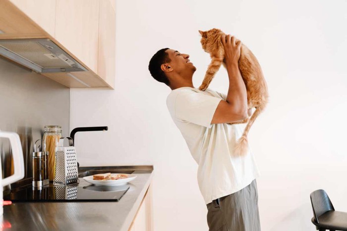 飼い主さんの食事を狙う猫