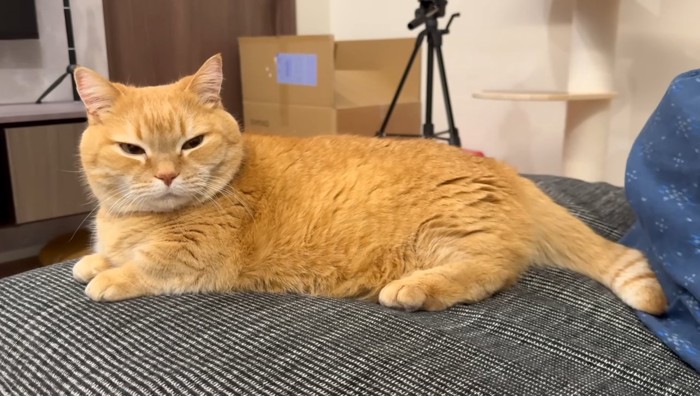 ウトウト