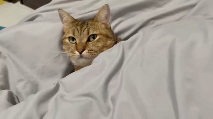 こちらを向いて