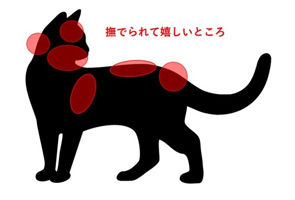 猫を撫でると喜ぶ場所の図