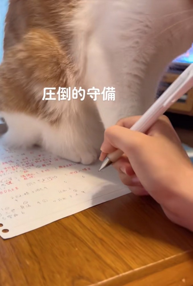 宿題に手を伸ばす