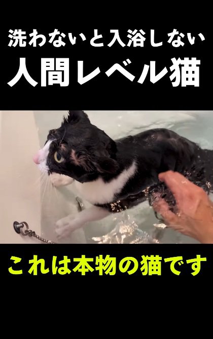 気持ち良い