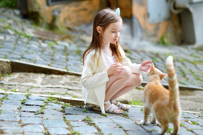 女の子に尻尾を立てたポーズをする猫