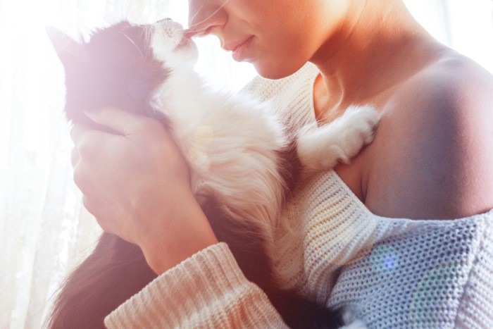 飼い主さんと鼻チューする猫