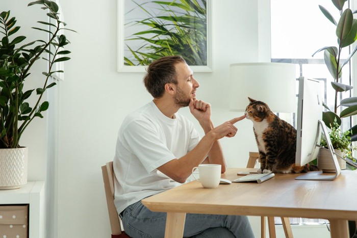 パソコンの前の猫に指を差し出す男性