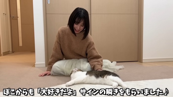 寝そべる猫