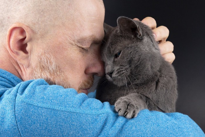 人に額をつける猫