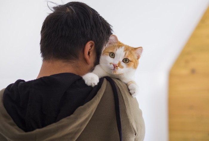 男性に抱かれる猫