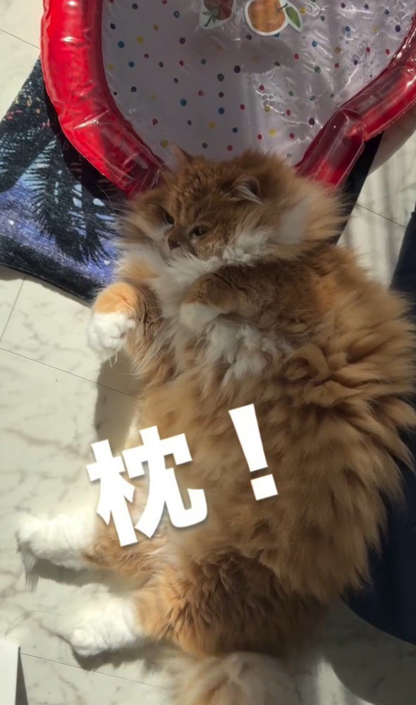 「枕」と書かれた写真1