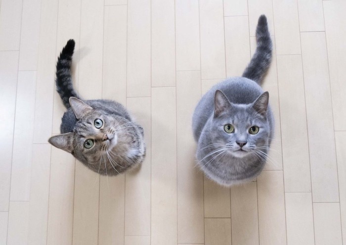 なつ&ゆずちゃん