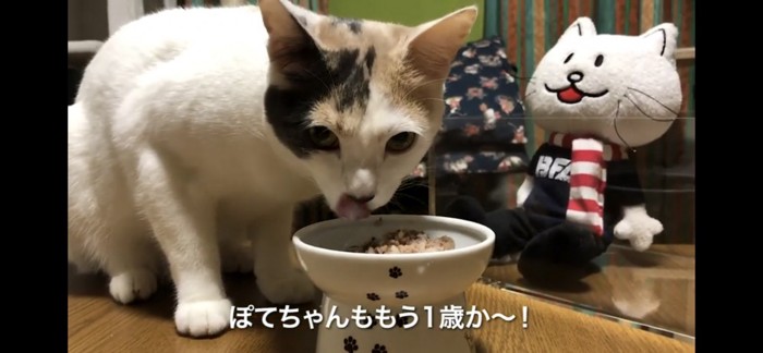 食べにくそうだったので潰してみる