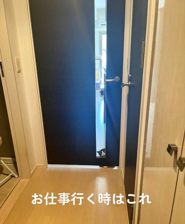 ドアの向こうの猫