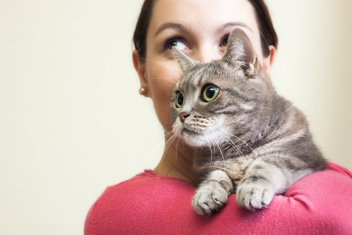 女性に抱っこされる猫