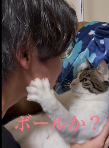 男性と見つめ合う猫