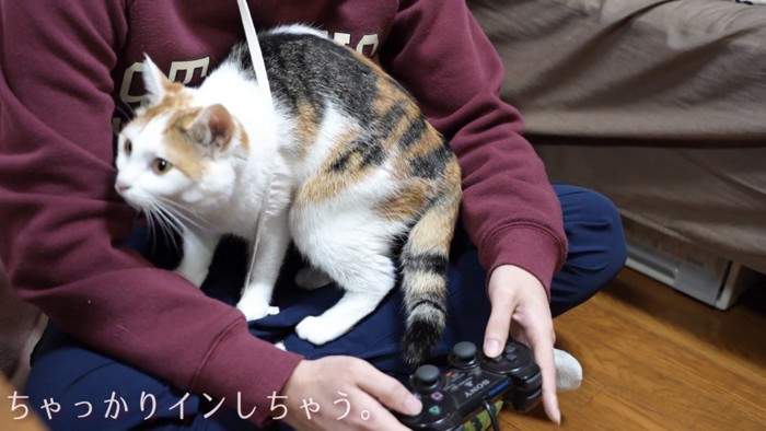 「ちゃっかりインしちゃう」のテロップ写真