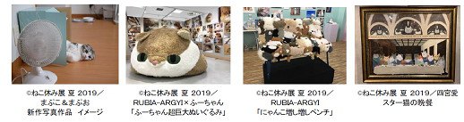 ねこ休み展