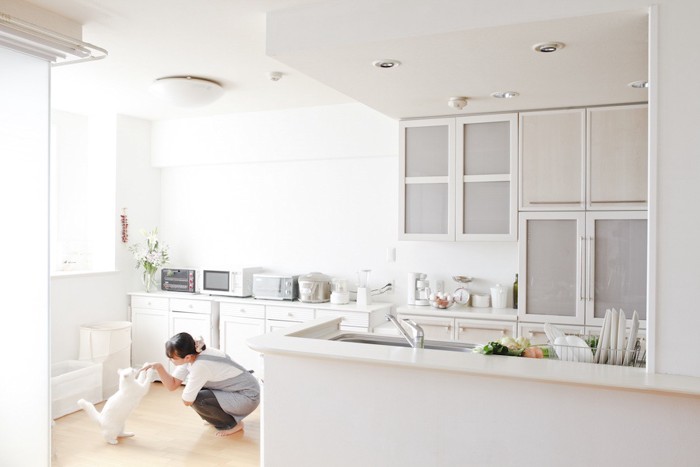 綺麗な部屋で遊ぶ女性と白猫