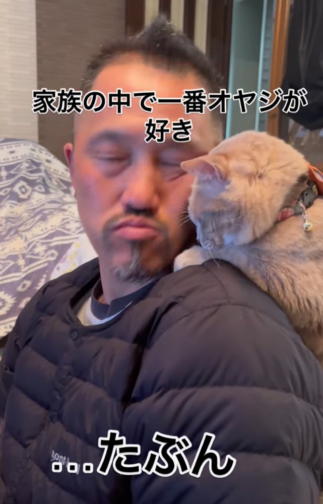 お父さんと猫さん