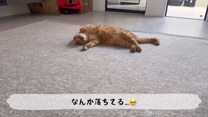 テロップ「なんか落ちてる」