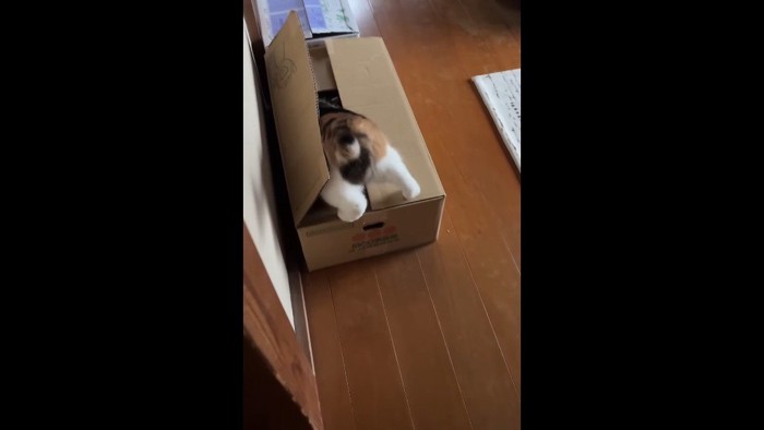 箱の中へ