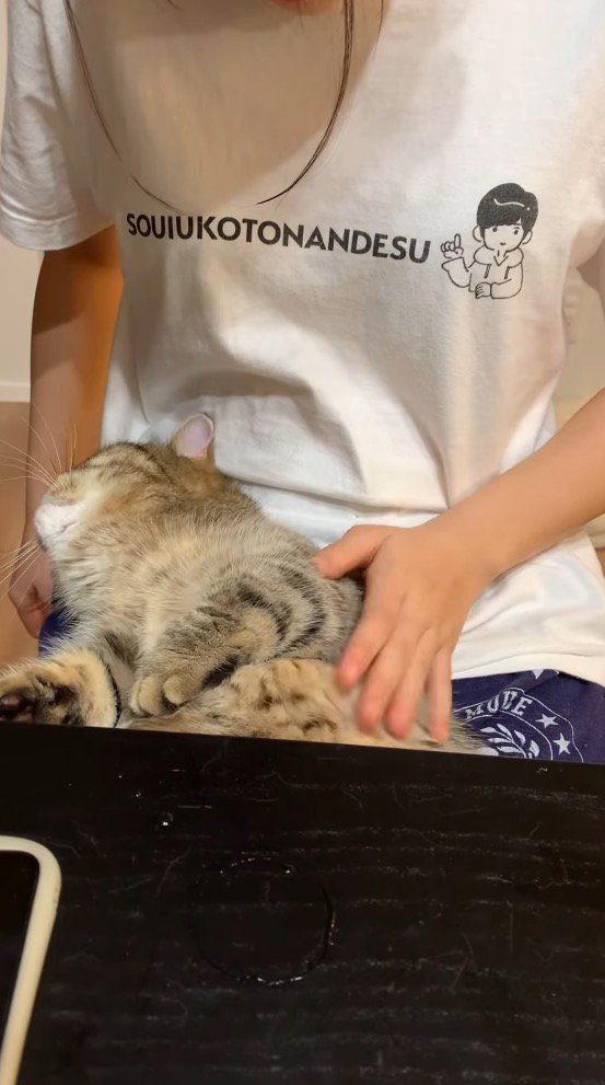 女性の膝の上で止まる猫