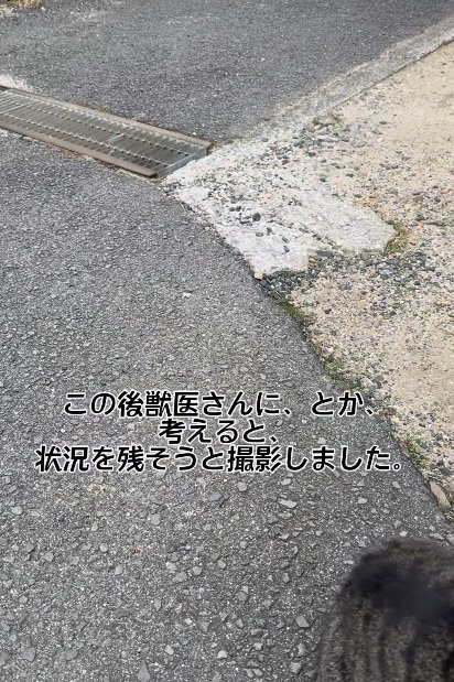 説明のための撮影